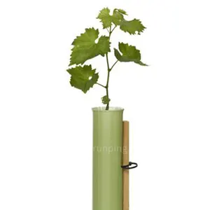 Enveloppe de vigne en plastique personnalisé, Protection des plantes pour les arbres, Protection des plantes contre les animaux, feuille ondulée Recyclable