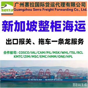 Transport maritime porte-à-porte Chine-Indonésie, fret LCL express, dédouanement et taxes inclus, service tout-en-un. - Product Image 4