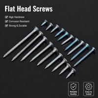 TEBAK High Quality M2 M3 M4 M5 M6 M8 Wood Roofing Drywall Self Drilling Phillip Countersunk Head Self Tapping Screw