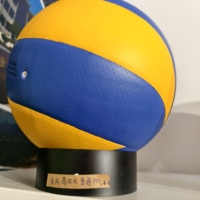 Volley-ball en PU laminé taille 5 officiel professionnel de haute qualité avec impression de logo personnalisé