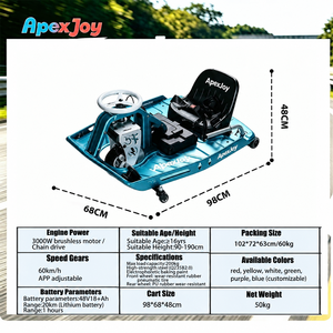 ApexJoy Go Kart Eléctrico de 3000W, 60 km/h, Ajustable por APP, Batería de Litio de 48V, 200 kg, Alquiler para Parques de Diversiones, Venta al por Mayor B2B - Product Image 2
