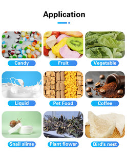 Liofilizador Doméstico YFD-4 para Dulces y Alimentos para Mascotas, Diseño Compacto, Perfecto para Uso en el Hogar - Product Image 6