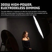 ZSYB Éclairage de remplissage photographique professionnel 300W à haute puissance pour studio de diffusion en direct, avec contrôle par application et température de couleur réglable