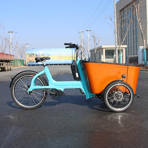 จักรยานบรรทุกสินค้าไฟฟ้า<span class=keywords><strong>3</strong></span>ล้อแบบทรงตัวเองได้ของยุโรป - Product Image 5