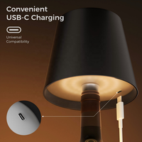 Lampe LED sans fil en forme de bouteille, lumière de table, 3 couleurs, veilleuse à intensité variable, décoration RGB, lumière de bouteille de vin, lampe d'ambiance, décoration de bar, pub