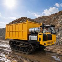 Camion benne sur chenilles tout-terrain Ruibote 12 tonnes avec moteur diesel Yanmar haute performance pour l'ingénierie