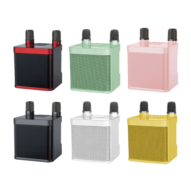 10W HIFI Stereo  Karaoke Speaker with Dual Wireless Mic Heavy Bass Subwoofer Sound Box for Home Entertainment