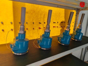 Ex D IIC T6 Explosion Proof Tuning Fork <strong>Level</strong> Switch Stainless Steel Vibrating Fork Liquid Solid <strong>Level</strong> <strong>Sensor</strong> Relay Output IP66 - Product Image 6