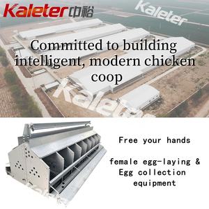 Otomatik tavuk yumurta toplama sistemi tavuk kümesi Metal yumurta toplama makinesi rulo yuva kutusu döşeme Pick up - Product Image 6