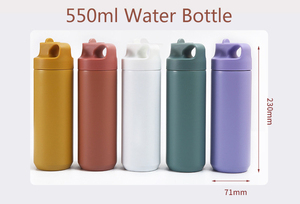 550ml Eco-friendly Double Wall Stainless Steel <b>Drinking</b> Sports Powder Coated Water <b>Bottle</b> With <b>Straw</b> - Product Image 5