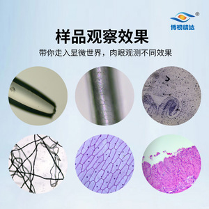 Boshi Jingda Inverted Biological <b>Microscope</b> BD-S1 Professional Camera For Cell Culture And Tissue Analysis - Product Image 4