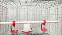 Cage à poulets à 3 niveaux et 2 portes, pour 60 oiseaux, avec design surélevé