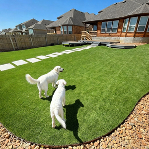 <span class=keywords><strong>Gazon</strong></span> artificiel pour extérieur, <span class=keywords><strong>gazon</strong></span> synthétique imperméable pour animaux de compagnie, tapis de <span class=keywords><strong>gazon</strong></span> pour la décoration du jardin, <span class=keywords><strong>gazon</strong></span> artificiel - Product Image 3