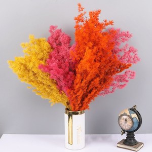 Helechos <span class=keywords><strong>Ming</strong></span> rojos conservados, espárragos naturales conservados, flores secas de Myriocladus para decoración del hogar, arreglos florales festivos, hojas - Product Image 4