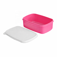 Draagbare plastic lunchbox 500ml blauw/roze/wit blanco aluminiumfolie hittetransferdruk DIY gepersonaliseerde patronen eten fruit
