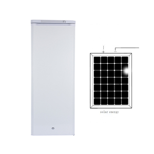 Congélateur vertical 198L à prix d'usine, vente en gros, DC 12V 24V, alimenté à l'énergie solaire - Product Image 2