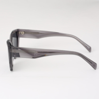 Nouveauté SA0348 Lunettes de soleil carrées en acétate de marque OEM, protection UV400, verres polarisés, monture intégrale, emballage personnalisé