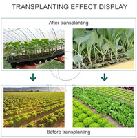 Machine à planter des plants d'ananas végétal machine à transplanter les oignons
