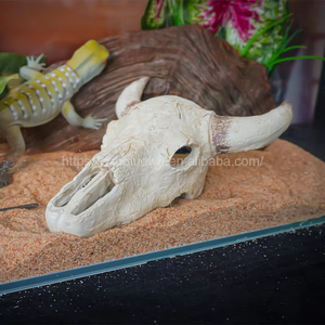 21cm Simulation personnalisable Afrique corne <span class=keywords><strong>de</strong></span> <span class=keywords><strong>taureau</strong></span> crâne nouveau Reptile amphibiens scène animale lézard Geckos araignée aquarium décoration - Product Image 3