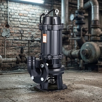 Pompe submersible en fonte WQ pour eaux usées, anti-colmatage, haute pression, haute pression de refoulement, pompe de déshydratation OEM pour travaux municipaux et agricoles