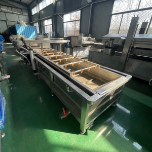 Hongteng Đa Chức Năng Quy Mô Lớn 220V/380V Trái Cây Rau Ngô Máy Giặt Với Động Cơ Cho Salad Nhà Máy Chế Biến - Product Image 4