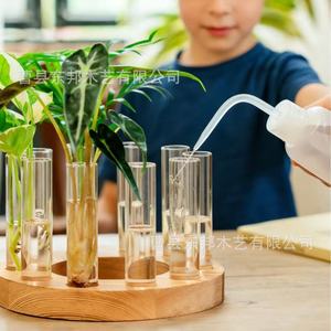 Base de vase hydroponique en bois, support de fleurs en verre rond, décoration de bureau, design minimaliste - Product Image 4