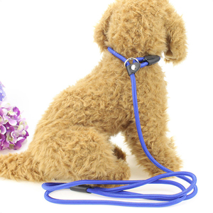 Proveedor de correas para mascotas, correas para perros OEM, correa de entrenamiento de agilidad duradera para cachorros de perros, 15 pies, 20 pies, 30 pies, 50 pies, 100 pies - Product Image 6