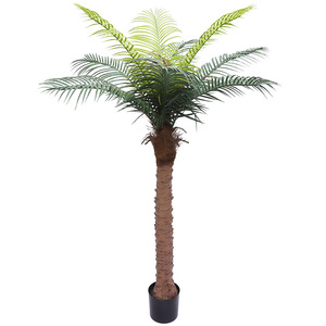 <span class=keywords><strong>Vendita</strong></span> diretta in fabbrica per interni grandi <span class=keywords><strong>bonsai</strong></span> di palma verde - Product Image 5