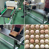 Imprimante automatique de dates pour œufs, machine de codage jet d'encre multi-têtes pour le numéro de lot, la date d'expiration et le traitement des œufs en coquille