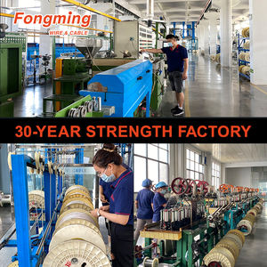 سلك استشعار حراري معزول من البي في سي والسيليكون والفيب والبي إف إيه والبي تي إف إي والألياف الزجاجية - Product Image 4