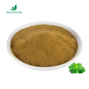 ผู้ผลิตอุปทานน้ำมันสะระแหน่สกัดอาหารเกรดอินทรีย์รสสะระแหน่ผง - Product Image 1