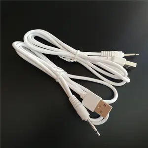 Ersatz Erwachsene Spielzeug Ladekabel 2,5mm DC USB Ladegerät Kabel für Erwachsene Produkte Lade