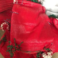 Landbouw Plastic Netzak Van Mesh Voor Uien/Aardappel 10Kg