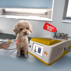 Pet Clinic Veterinary Laser Animals Small Weight Surgery Therapy Vet Laser <strong>Orthopaedic</strong> <strong>Instruments</strong> - Product Image 1