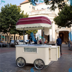 2025 Unique italien Gelato chariot <span class=keywords><strong>pour</strong></span> l'Europe Mobile main pousser remorquable nourriture remorque café chariot vélo <span class=keywords><strong>pour</strong></span> l'Italie - Product Image 5