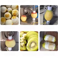 Automatische milieuvriendelijke roestvrijstalen fruit- en groenteschilmachine voor kokosnoot, sinaasappel, citroen en citrusvruchten met 1 jaar garantie