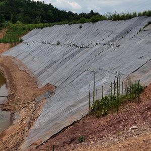 Tấm bê tông tổng hợp địa kỹ thuật bảo vệ sườn dốc cao hiệu suất cao để ổn định đất, sẵn sàng giao hàng - Product Image 1