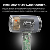 Sèche-Cheveux Nouveau Conçu Séchage Rapide Contrôle Température Intelligent Haute Vitesse Grand Flux d'Air Plasma Salon