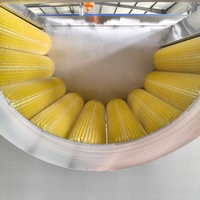Machine à laver automatique à rouleaux brosse en acier inoxydable argenté pour légumes-racines, pommes de terre, carottes, gingembre, maïs, multifonctionnelle