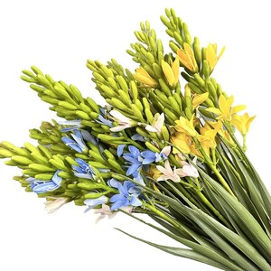 Vente en gros de fleurs de luxe pour mariage, fleurs en soie de latex au toucher réel, <span class=keywords><strong>freesia</strong></span> artificiel à longue tige pour la décoration de centre commercial d'hôtel - Product Image 5