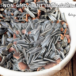 Semillas de <span class=keywords><strong>Girasol</strong></span> Secas de Primera Calidad, Sin GMO, Crudas, Gigantes, para Uso Alimentario a Granel, con 24 Meses de Vida Útil - Product Image 2