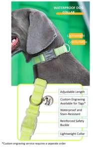 Collar de Perro de Lujo Personalizado Elegante de Talla M, PVC Impermeable, Ajustable, Accesorio para Mascotas, Diseño Simple y Duradero - Product Image 3