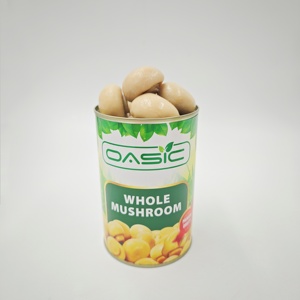 Mùa giải mới tốt nhất OEM thương hiệu khỏe mạnh hương vị tươi hấp đóng hộp toàn bộ champigons nấm hàu trong nước muối với 3 năm Thời hạn sử dụng - Product Image 4