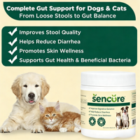 Compléments Gommeux Probiotiques à Enzymes de Levure avec Prébiotiques et Vitamines Oméga de Citrouille pour une Absorption Rapide – Soin de Santé pour Animaux de Compagnie