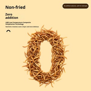 Les vers de farine à haute teneur en protéines conviennent à divers aliments pour petits animaux - Product Image 3