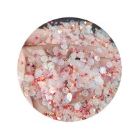 Campuran Payet Kuku Transparan Putih Pink untuk Kerajinan Glitter Bintang Hati Cangkang Bunga Payet Paillettes DIY Dekorasi Seni Kuku Manikur