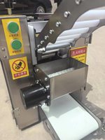 Laminoir à pâte électrique commercial, machine à rouler la pâte en acier inoxydable pour boulangerie, pizza, nouilles, emballages de raviolis