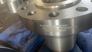 Brida Deslizante de Acero Inoxidable ANSI B16.5 304 316L, Brida Sanitaria Forjada RF para Sistemas Químicos y de Plomería de Agua - Product Image 2