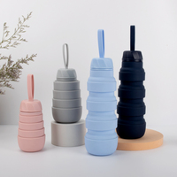 Vente chaude 350ml 550ml 750ml Bouteille d'eau en silicone pliable Bouteille d'eau pliable en silicone portable