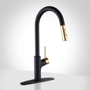 Black and Gold Kitchen Faucet with Pull Down Magnetic Docking Sprayer,Stainless Steel Pull Out RV Kitchen Sink Faucets,